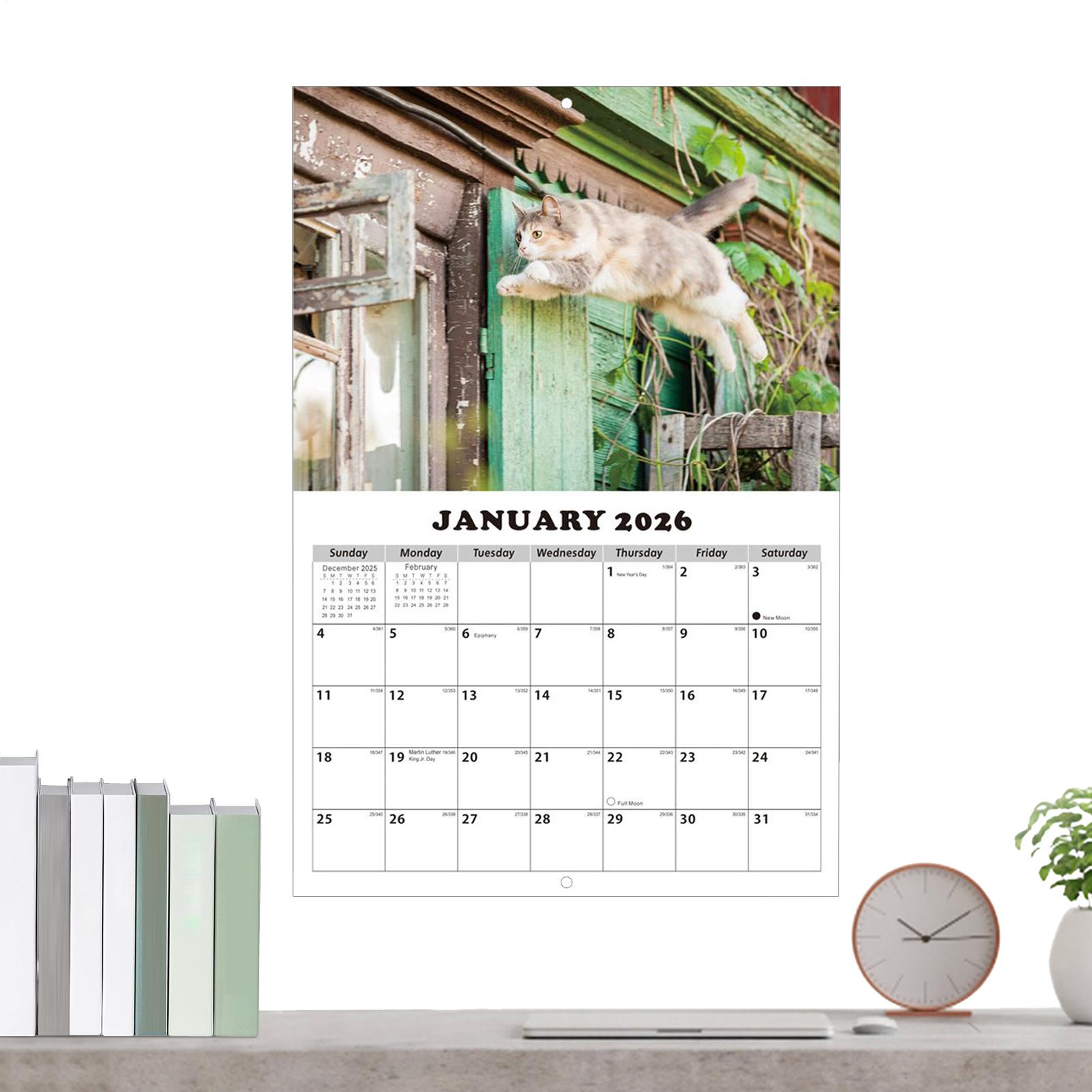 2026 Cat English Wall Calendar - English Home Office 评论和价格
