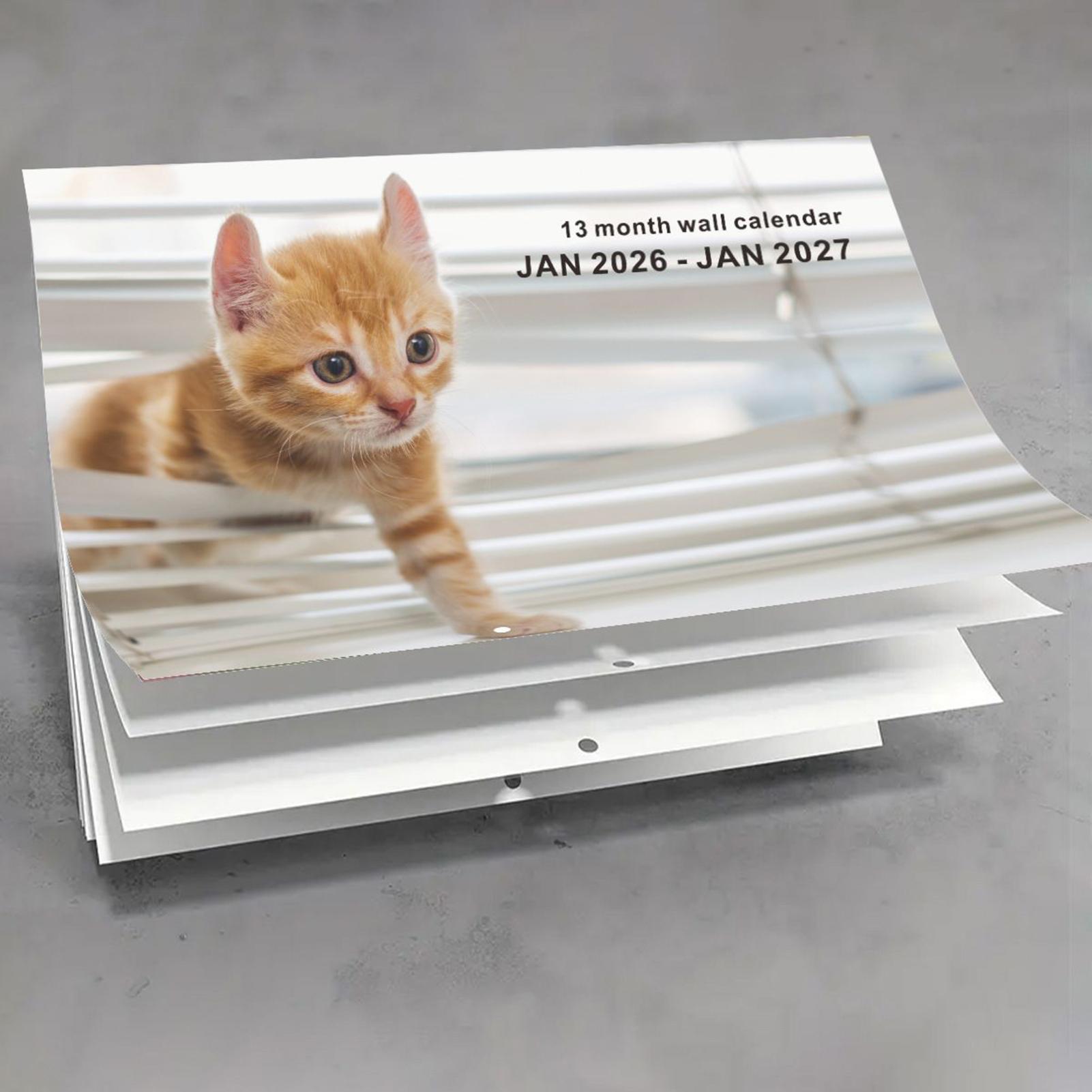 2026 Cat English Wall Calendar - English Home Office 评论和价格