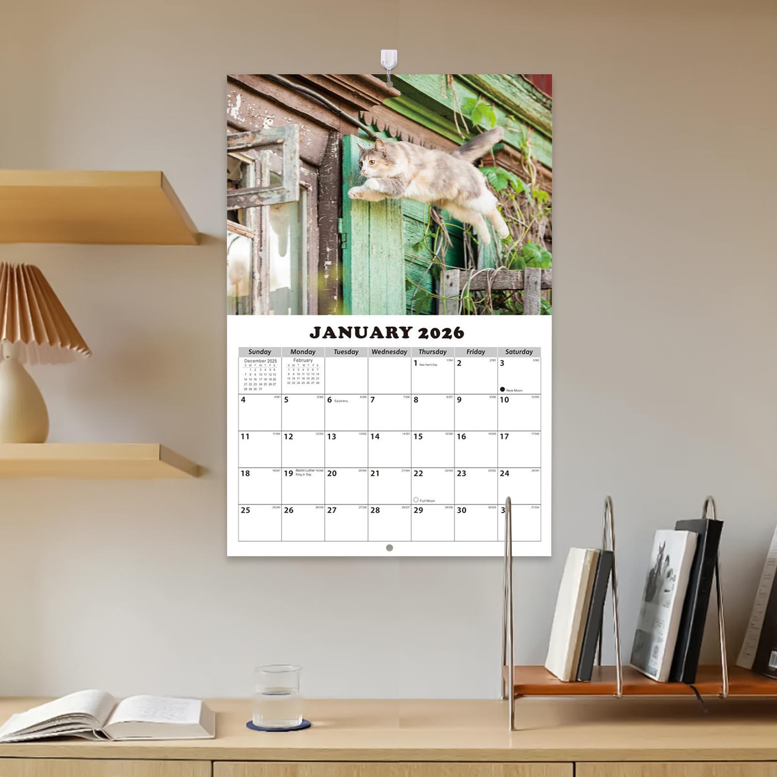 2026 Cat English Wall Calendar - English Home Office 评论和价格