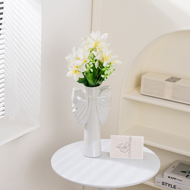 Modern Minimalist Bow Ceramic  - Home Office Form 评论和价格
